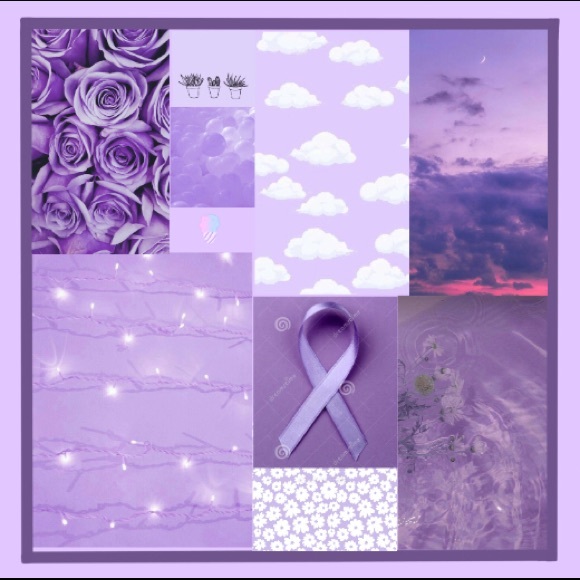 Meet your Posher, Posh - Picture 1 of 1